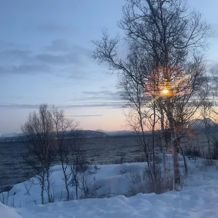 Tatil Evi Sjohytte Med Jacuzzi, Sauna Og Panoramautsikt Narvik