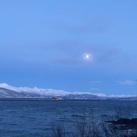Tatil Evi Sjohytte Med Jacuzzi, Sauna Og Panoramautsikt Narvik